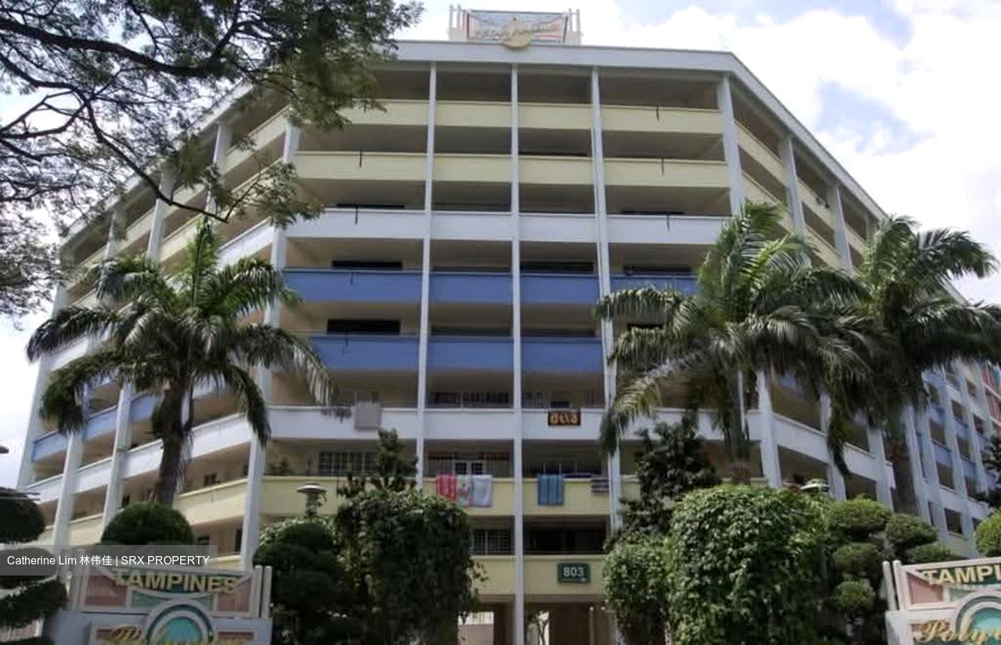 Blk 803 Tampines Avenue 4 (Tampines), HDB 3 Rooms #632715521